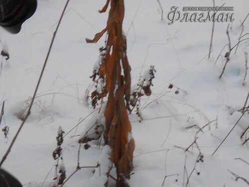 DSCN0117_r